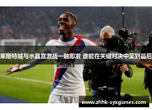 莱斯特城与水晶宫激战一触即发 谁能在关键对决中笑到最后 莱斯特城与水晶宫激战一触即发 谁能在关键对决中笑到最后