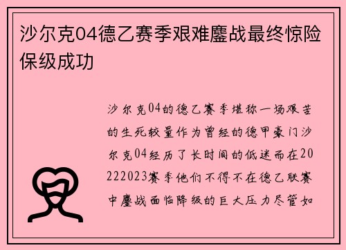 沙尔克04德乙赛季艰难鏖战最终惊险保级成功